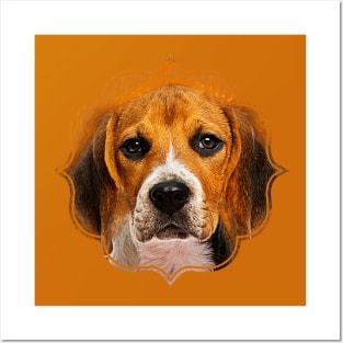 Beagle dog Posters and Art